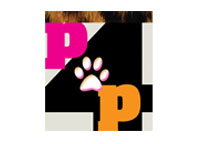 Guardian Self Storage Manukau branch is proud to sponser Passion for Paws